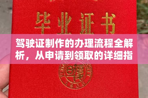 巴里坤驾驶证制作的办理流程全解析，从申请到领取的详细指南